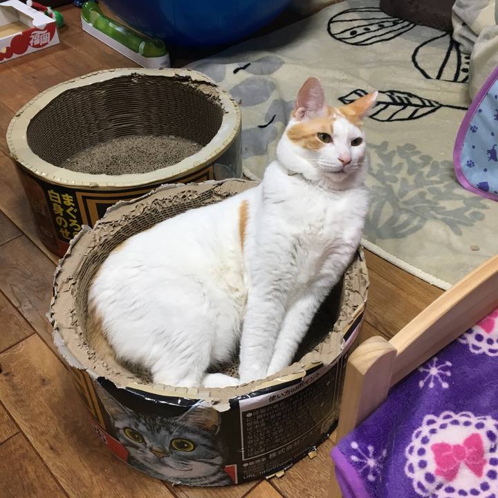 572d102c 9768 4b2f a295 f16307edc46d