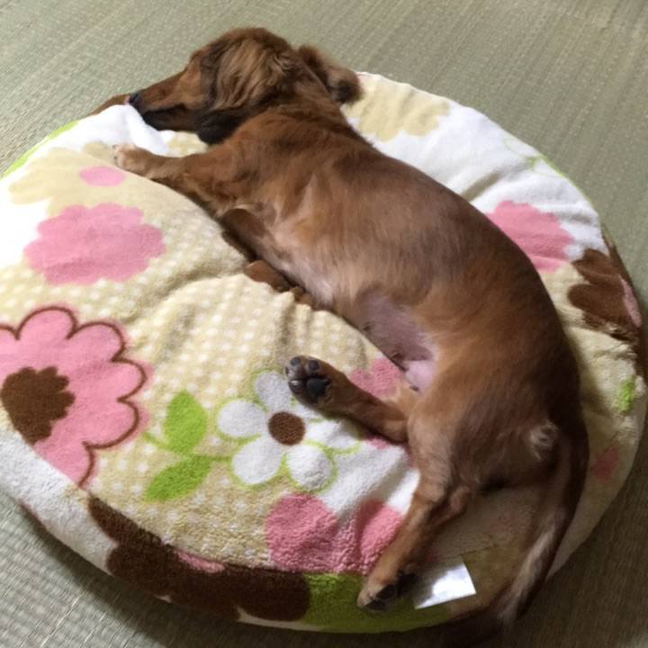 572dddc2 9fce 464c a2a4 5641b979544f