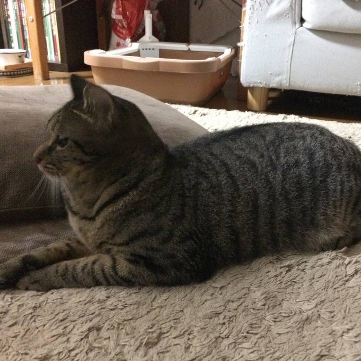 572e17d1 e1e4 4e98 90b5 4caee3b04848