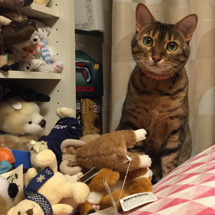 572e6159 0884 483a 8e9b 2753fd6d943f