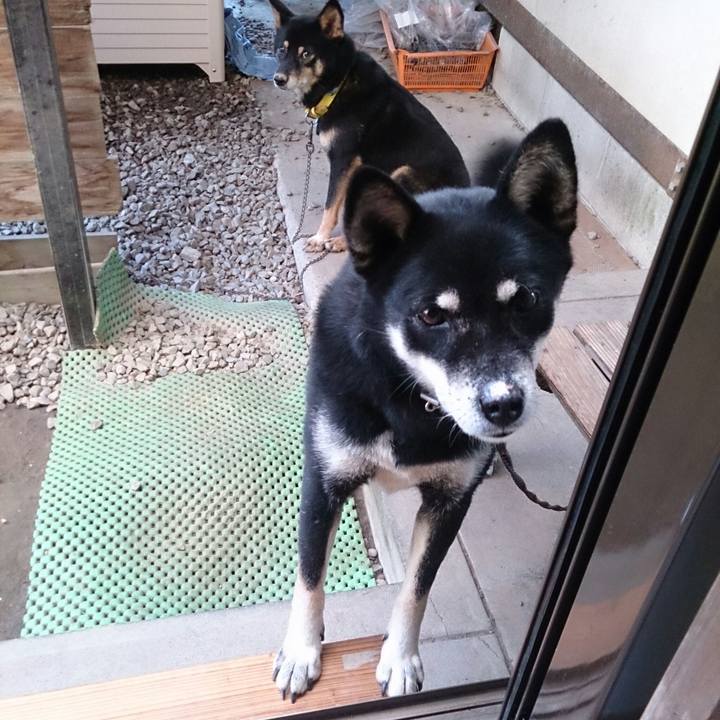 572e7e53 f11c 43e7 ba9c 9c4c110cc29d