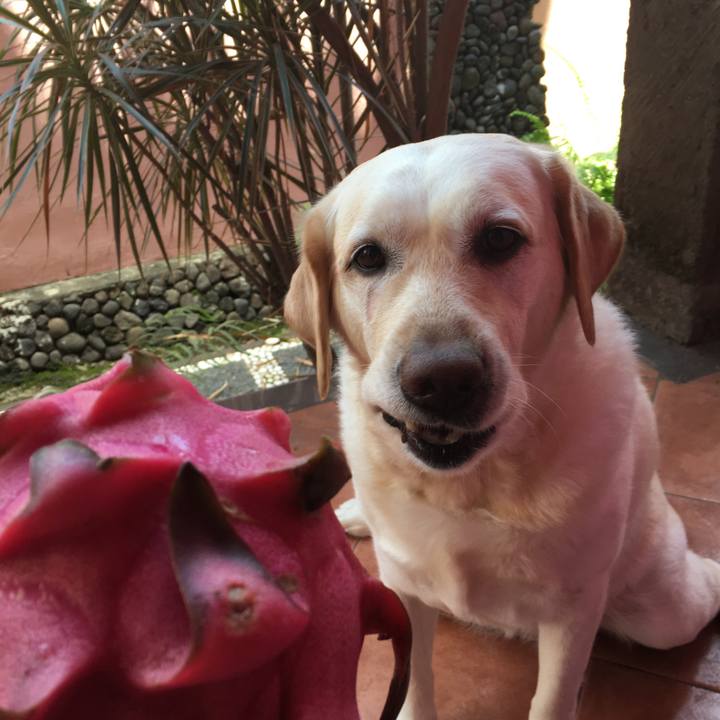 572e99d5 ce4b 47e4 a8a3 5ff82394b342