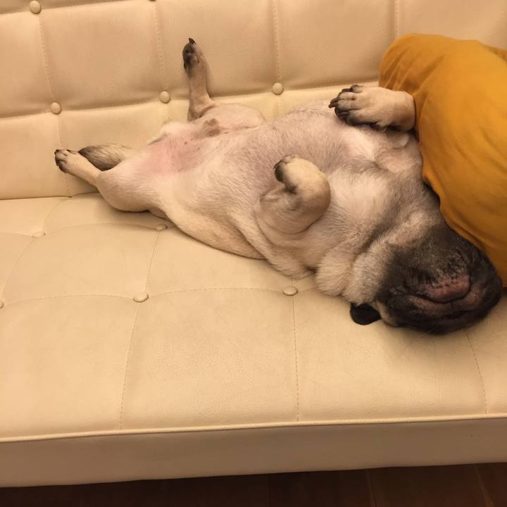 572efc09 da0e 4fd0 8872 c88f2e98316a