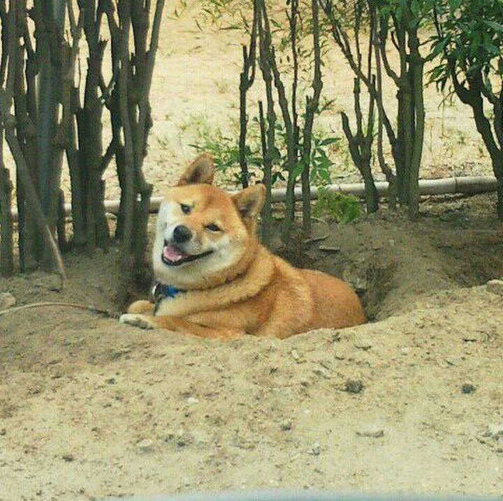 572f7044 65e8 4aba 8733 e630a09595b4