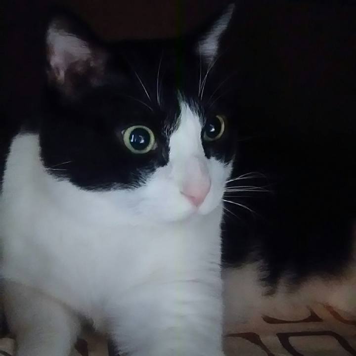 572f76a5 4658 49fb 9d6e 21bcc75bb8cc