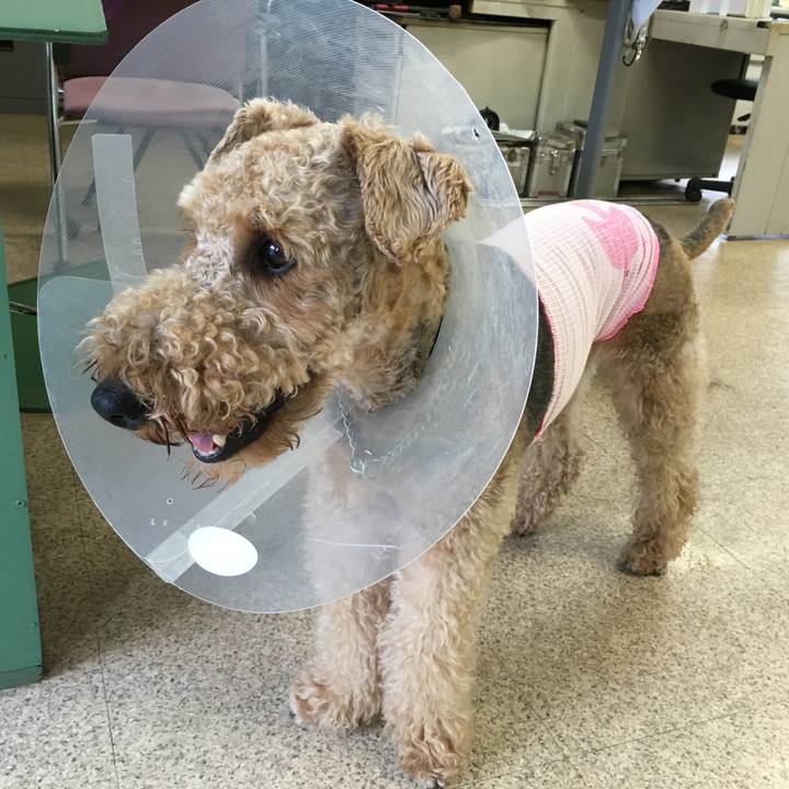 572f8c0e 2742 4005 85e9 7a6ae01c1eae