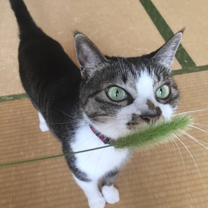 572fa246 2436 4c24 a5ca aff9ff7b0c33