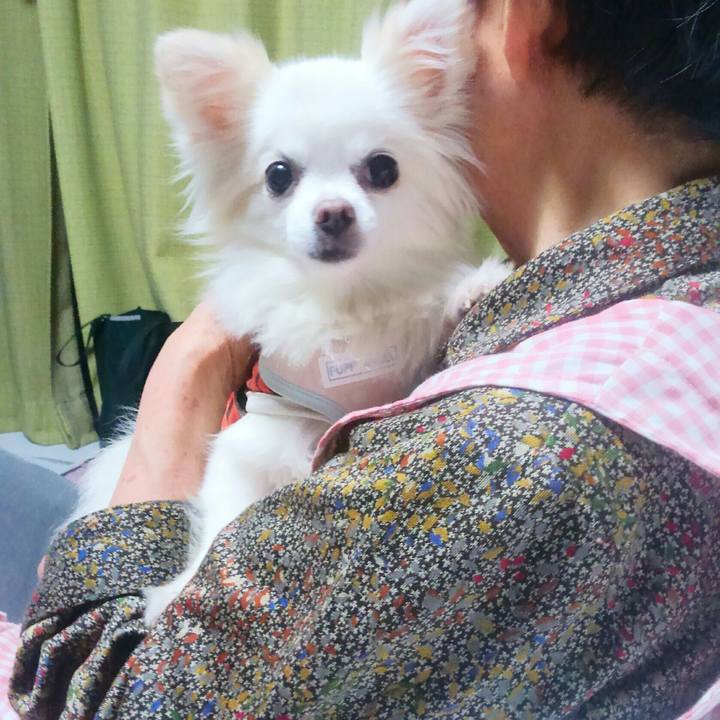 572fc7e0 801f 4fab bad1 4e6639b162a0