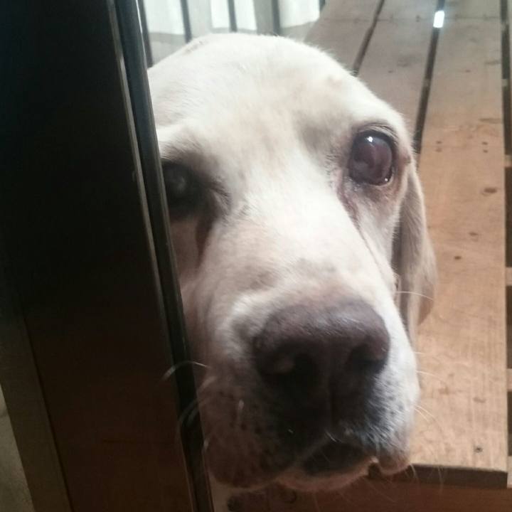 572fdd7a 3c34 4175 910d 491934ce8859