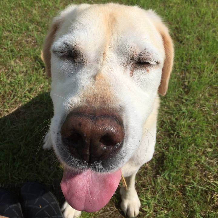 572fef92 49ca 4677 888c 4de7f65ff68b