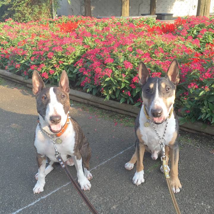 57300809 4057 4599 ab8c ed4640ae6c4c