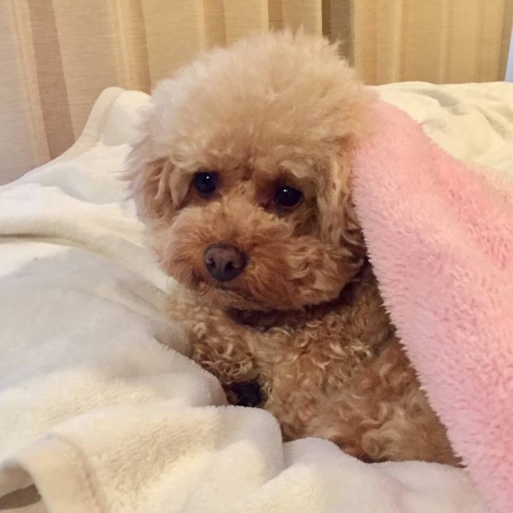 573151d7 393b 4b28 8331 19defaf952db