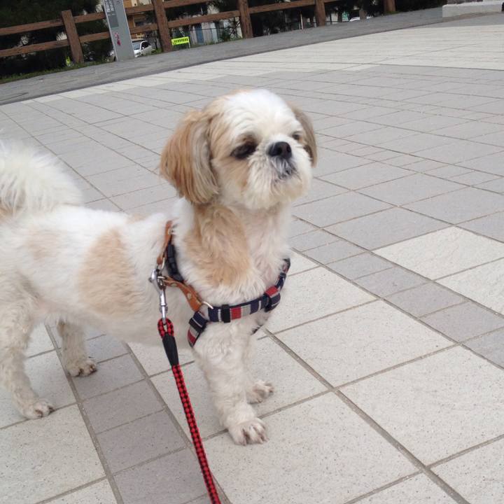 5731a4aa a946 4789 9612 085c0667445b