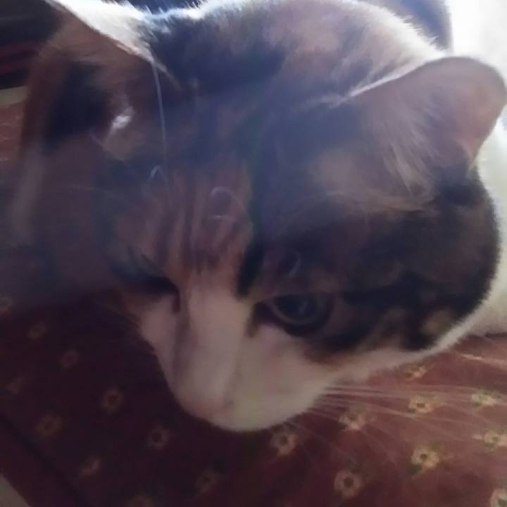 5731e36f 9c72 4f32 af93 231c17f8bcd4