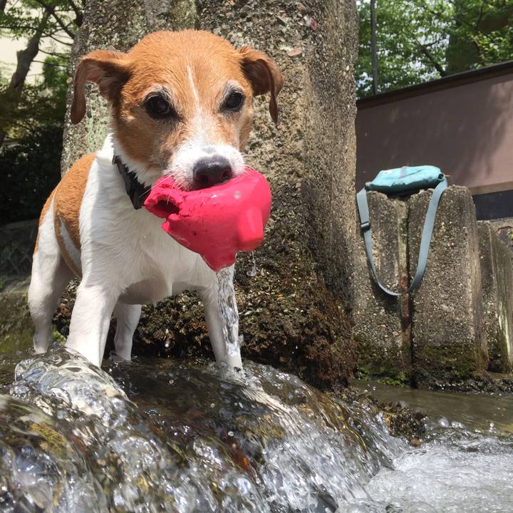 5731ef2a 909d 4084 869b 5f19de87665c