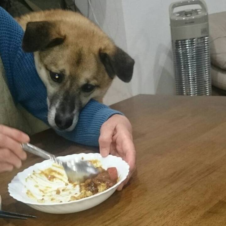 573206da 1428 4693 8fd7 8d66aae8a0f1