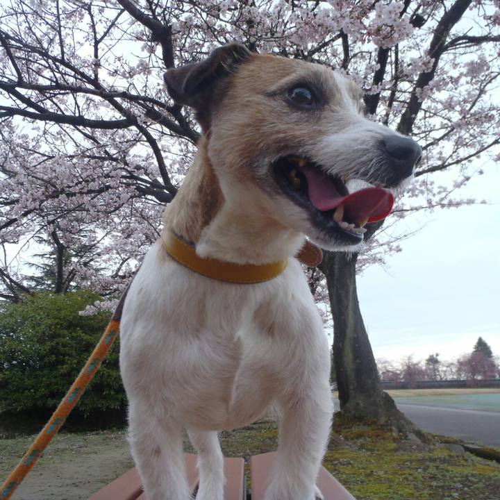 5732eece 6e7c 46ff b1da d39dcdbcd0ed