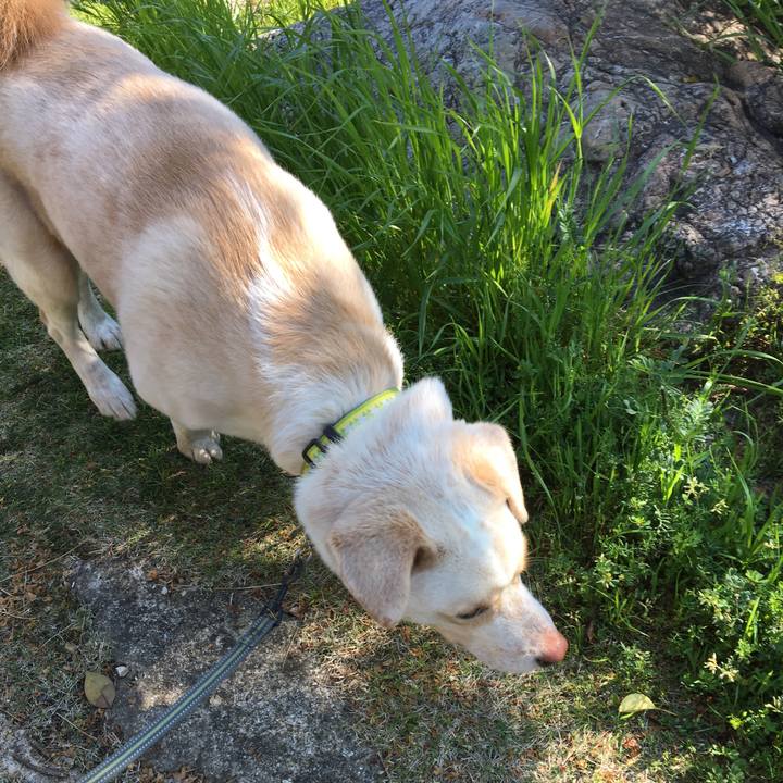 57331cdc 0a13 4dec 9655 8663535c865e