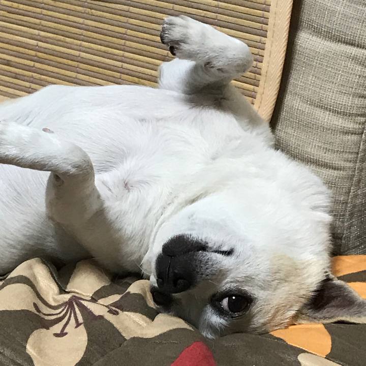 57336163 9950 4382 8a69 5d2526c12015