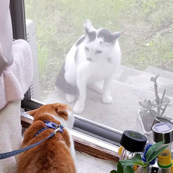 57336bc5 8b3c 4edb 99b9 a19b978214ff