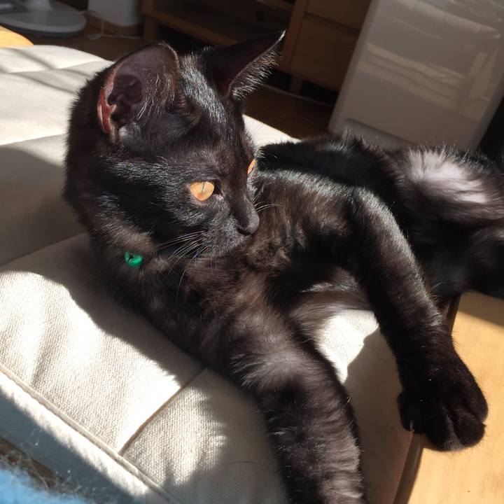 57340eae 0172 4d9b b5c3 0d2f1538176d