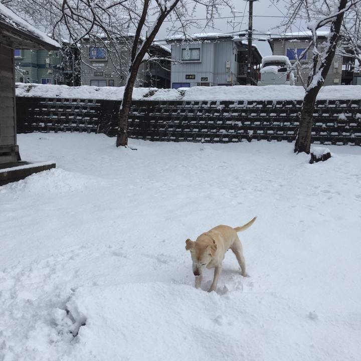 57341dba a233 44b6 b80f 0ad18ae24776