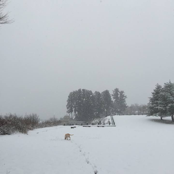 5734a7d9 a042 4c6e 8bd8 e5332ee53042