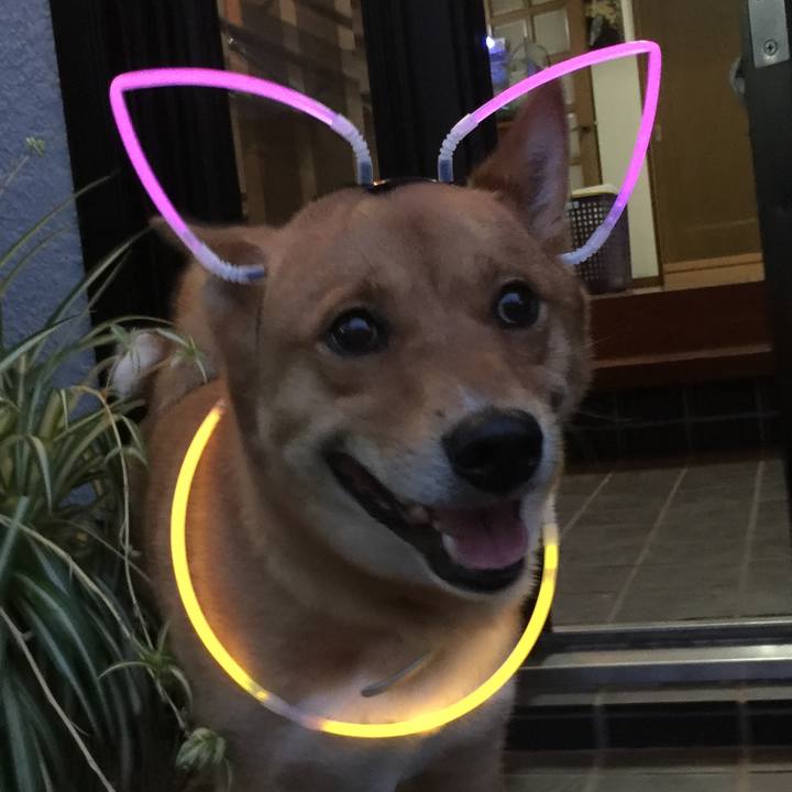 57353d83 4f40 4c98 aec8 2e6c74b4cd0b