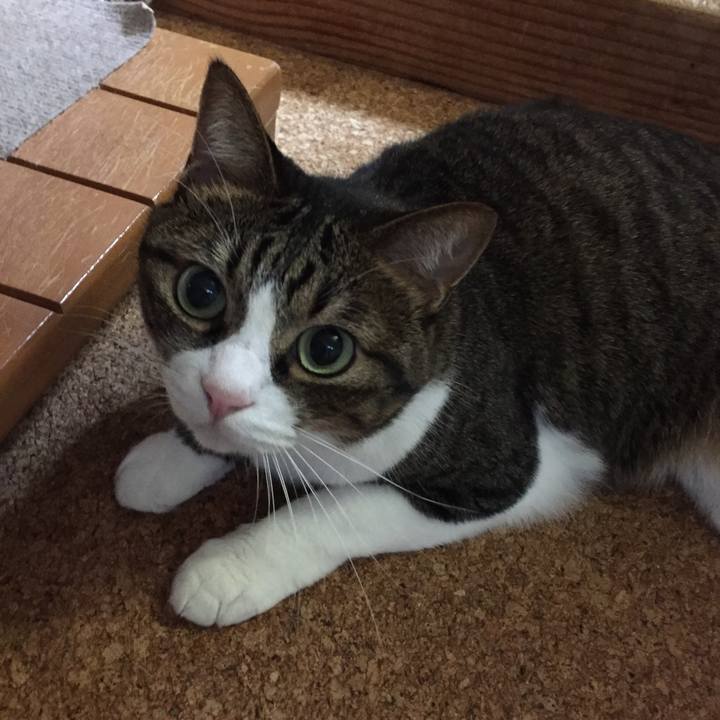 5735762a 7997 4909 92a3 36045dbc9c13