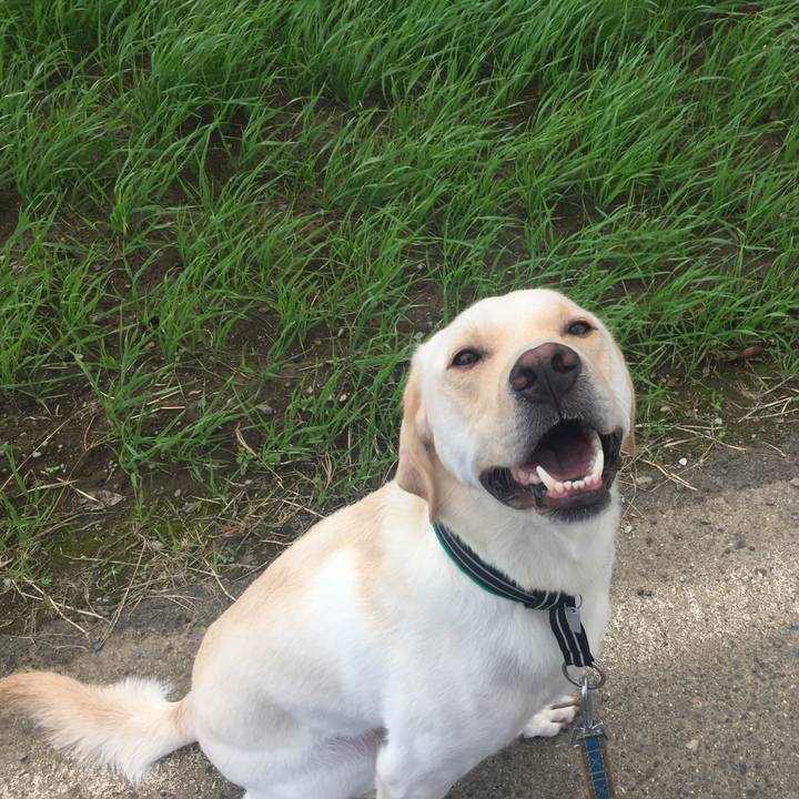 57359585 b7da 4be0 bb13 1cc89cfa2ee4