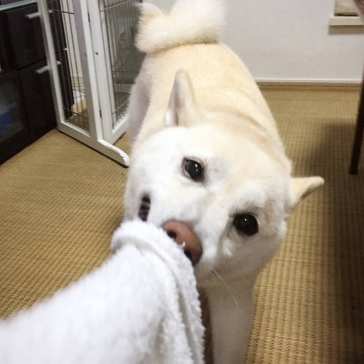 5735dfad 8163 40d7 8375 02f48d563f30