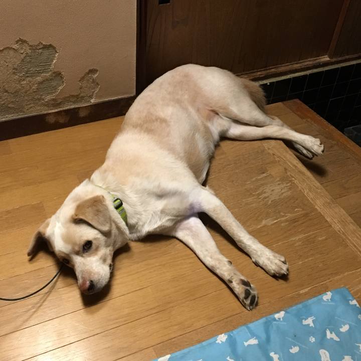 57362c04 030f 489c 900a 713ceaf93244