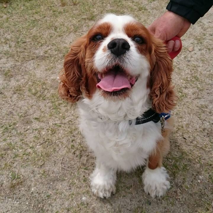 5736f2ec 8445 4903 a50c a6212a845276