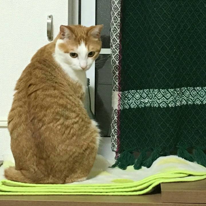 573710c7 418f 4e19 af16 95241e9d75b9