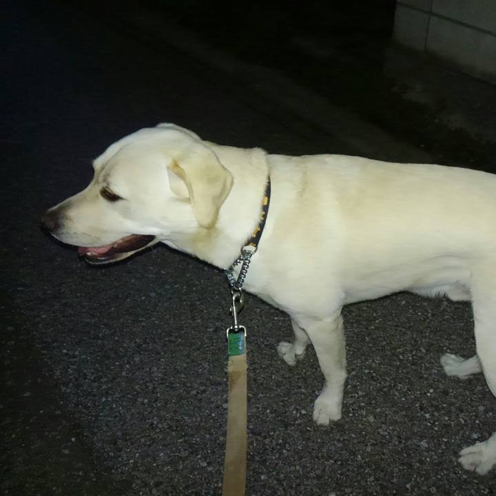 5737445f c727 4413 8932 05254eb2af1a