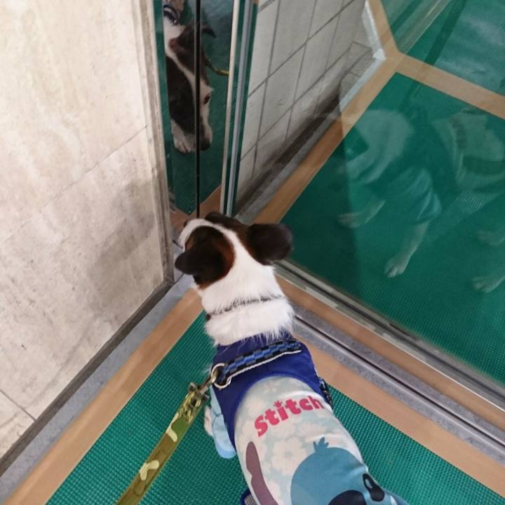 5737bcd5 2996 49b8 a6ab 6e3dabed5085