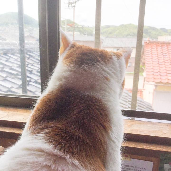 57383337 0a63 431e bd5b f59b805e35f4