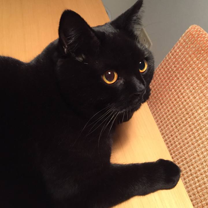 57383829 b832 40f3 89c5 7328cf0a0357