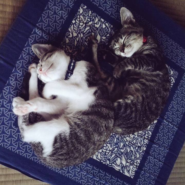 5739cba2 1373 49ad a95f cd853c7c08f0