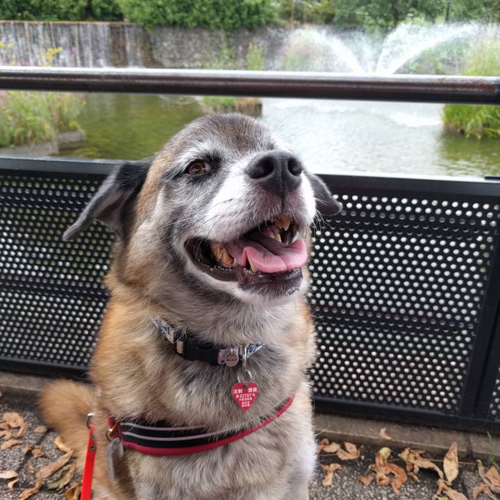 5739dc79 e668 41e8 92cf 5044d28da70b