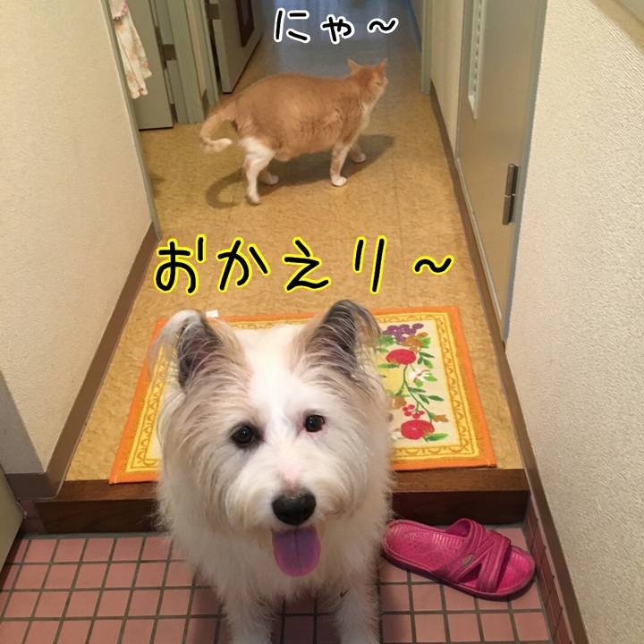 5739e346 b6ab 4631 8b85 b48825ee865f