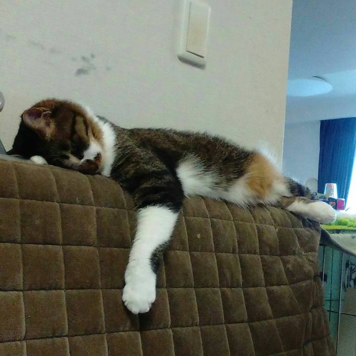 573a94ea d1b8 48d5 9bc9 eecdf8ceff93