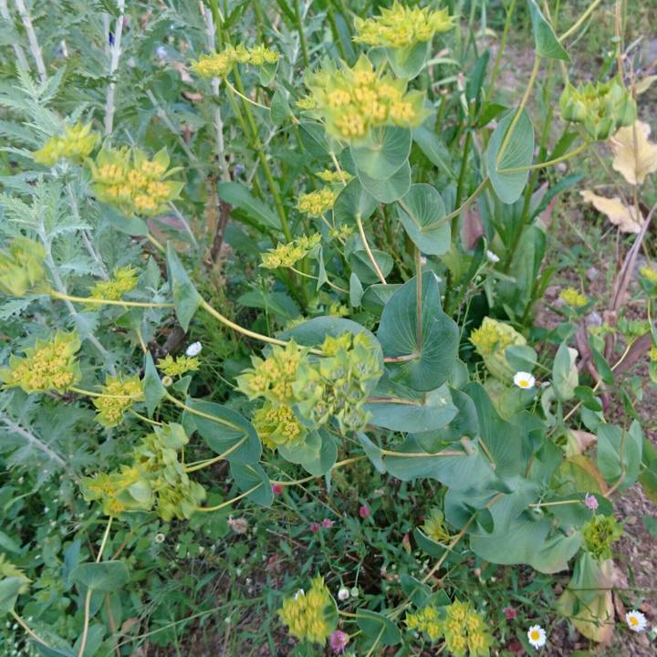 573ab63c 0ee1 4578 9342 71a20512854d