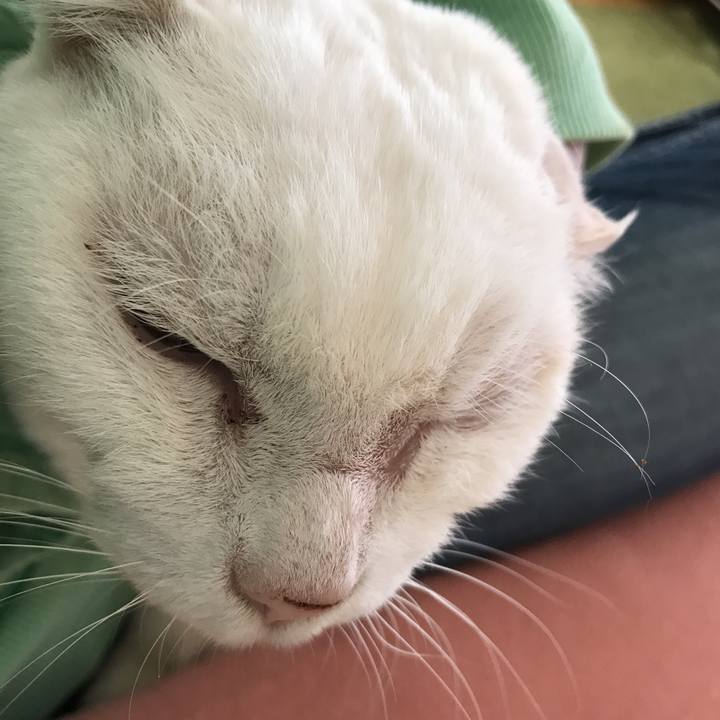 573ac3e8 d37c 4a20 b7c1 8ac200228114