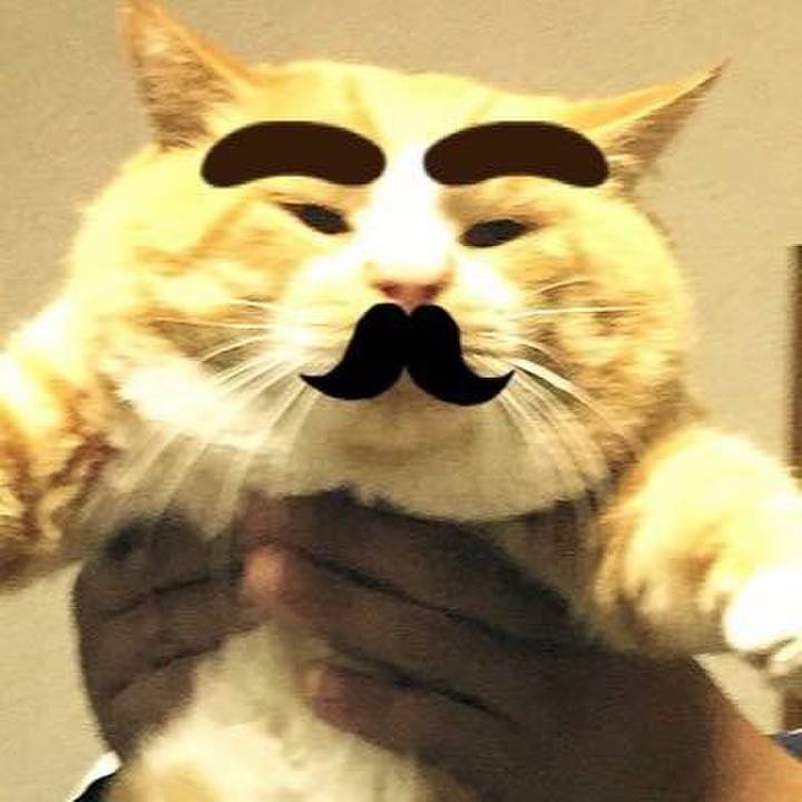 573af0c9 08b4 449f 97b4 1c5f5094eb2b