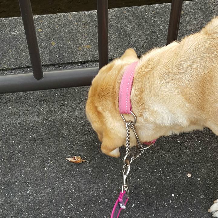 573b3338 5894 4f7e b125 9c3afcfb5fbc