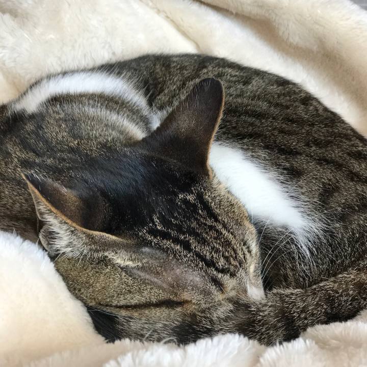 573bcefa f1b5 4ce1 8661 05784a9fb290