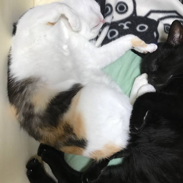 573ca94e e2b5 4f8f 9200 3975eca3126a