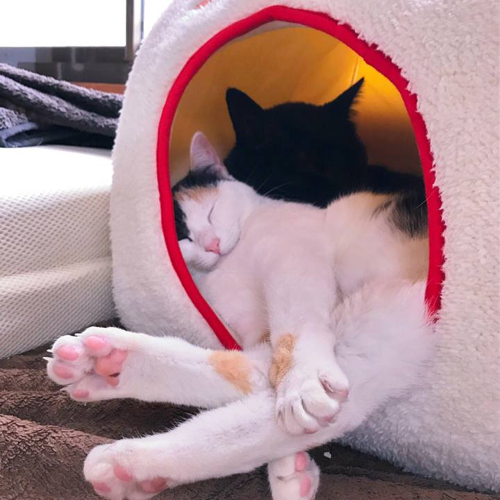 573d757d 8437 4692 935c 7a3c5c7931d6