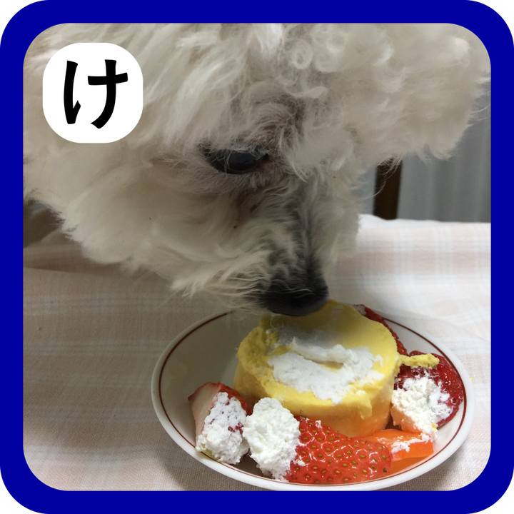 573da08e 733b 435a 9ffd a005a4e98fad